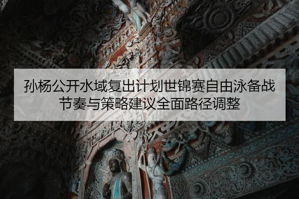 sun-yang-gong-kai-shui-yu-fu-chu-ji-hua-shi-jin-sai-zi-you-yong-bei-zhan-jie-zou-yu-ce-lve-jian-yi-quan-mian-lu-jing-2-168.jpg